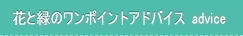 花と緑のワンポイントアドバイス