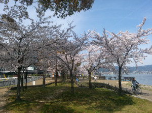 なぎさ公園プロムナード